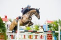 Premier Cup Equestrian Show Jumping Royalty Free Stock Photo