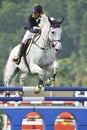 Premier Cup Equestrian Show Jumping Royalty Free Stock Photo