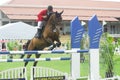 Premier Cup Equestrian Show Jumping Royalty Free Stock Photo