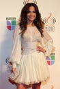 Premios Lo Nuestro Awards Royalty Free Stock Photo