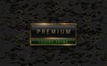 Premium black green label with golden frame on black geometric background golden lines. Dark luxury logo template. Vector Royalty Free Stock Photo