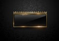 Premium black label with golden frame sparks and crown on black floral pattern background. Dark vip template. Vector illustration Royalty Free Stock Photo