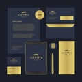 Premium business accessories collection blue golden crown logo template vector illustration