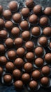 Premium chocolate making ingredients, molds, utensils, gourmet confectionery