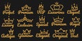 Premium crown logo. Sketch golden luxurious and exclusive, special and glamour diadems. Crowns for vip person