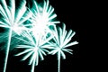 Luxury fireworks event sky show with turquoise palm trees stars