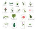 Premium floral logo templates for wedding,luxury logo,banner,badge,printing,product,package.vector illustration