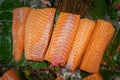 Premium fresh raw salmon sliced meat. Royalty Free Stock Photo