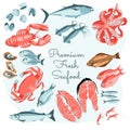 Premium fresh seafood banner template