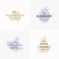 Premium Fruits and Berries Abstract Vector Signs, Symbols or Logo Templates Set. Elegant Hand Drawn Apple, Pear Royalty Free Stock Photo