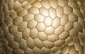 Premium Gold Shiny Abstract Hexagon Surfaces