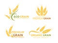 Premium grain flat vector logotype designs set. Organic cereal crops, natural product advertising. Ripe wheat ears