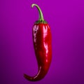Premium Hyperrealistic Purple Tip Chili Pepper On Fuchsia Background Royalty Free Stock Photo
