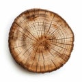 Unveiling the Secrets of Nature: Stunning Tree Slice Art on Pure White Canvas