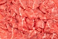 Premium Japanese meat sliced wagyu marbled beef