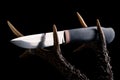 Premium knife. Legendary hunting knife. Hunting knife and antler