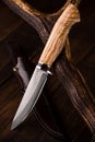 Premium knife. Legendary hunting knife. Hunting knife and antler