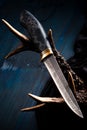 Premium knife. Legendary hunting knife. Hunting knife and antler