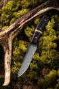 Premium knife. Legendary hunting knife. Hunting knife and antler