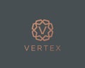 Premium letter V logo icon vector design. Luxury jewelry frame gem edge logotype. Print monogram initials stamp sign