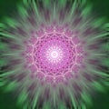 Premium Light Code Mandala Technology Pattern Tile Pavement Green Pink Code Flower