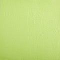 Premium light green leather texture background for decor