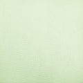 Premium light green leather texture background for decor