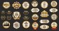 Premium and luxury silver and black retro badges and labels collection Royalty Free Stock Photo