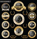 Premium and luxury silver retro badges and labels collection