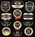 Premium and luxury silver retro badges and labels collection Royalty Free Stock Photo