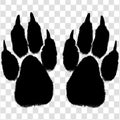 Black Cat Footprints Pair With Realistic Texture And Natural Paw Detail Isolated on a Transparent Background Royalty Free Stock Photo