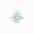 Premium Natural Mint Abstract Vector Sign, Symbol or Logo Template. Mint Branch with Leaves Sketch Illustration with