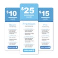 Premium Pricing and Membership Graphic w Different Options and Plans