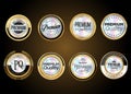 Premium quality gold and silver badges isolated on black background vector Royalty Free Stock Photo