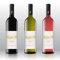 Premium Quality Red, White and Pink Wine Labels Set on the Realistic Vector Bottles. Hand Drawn Grapes Bunch and Rural