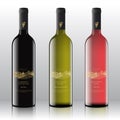 Premium Quality Red, White and Pink Wine Labels Set on the Realistic Vector Bottles. Hand Drawn Retro Grapes Bunch