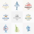 Premium Quality Seafood Vector Signs or Logo Templates Collection. Hand Drawn Fish Sketches with Typography, Surmullet Royalty Free Stock Photo