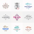 Premium Quality Seafood Vector Signs or Logo Templates Set. Hand Drawn Fish Sketches with Typography, Capelin, Catfish