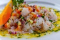 Fresh Ceviche with Orange and Cilantro on a White Plate Royalty Free Stock Photo