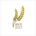 Premium Rice great quality design concept vector.