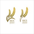 Premium Rice great quality design concept vector.