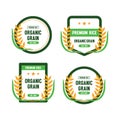 Premium rice logo collection design isolated on white background Royalty Free Stock Photo