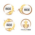 Premium rice logo - yellow brown paddy rice with circle style collection vector design