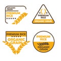 Premium rice organic grain set of logos and badges for agriculture. Organic premium rice collection vector illustration