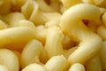 Premium spiral pasta full screen