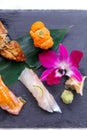 Premium Sushi Set Include Engawa, Hamachi, Hotate, Toro, Foie Gras, Salmon, Sea Urchin and Tai. Royalty Free Stock Photo