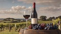 Premium wine arranged on a red background and vineyard