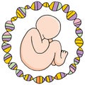 Prenatal Genomic Research