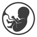 Prenatal human child with placenta silhouette Royalty Free Stock Photo