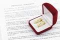 Prenuptial ( premarital ) agreement